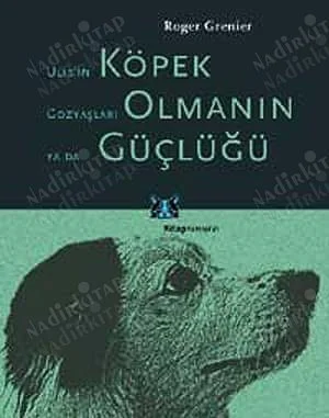 Köpek Olmanın Güçlüğü