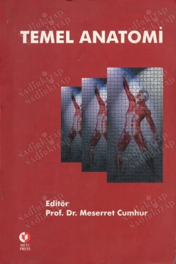 Temel Anatomi