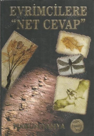Evrimcilere  ' Net Cevap '
