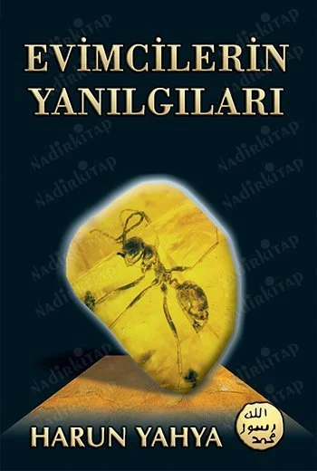 Evrimcilerin Yanılgıları