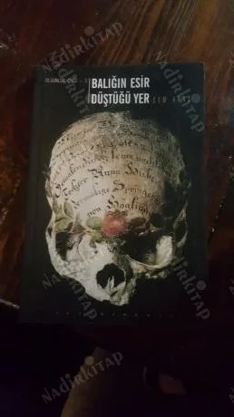 Balığın Esir Düştüğü Yer