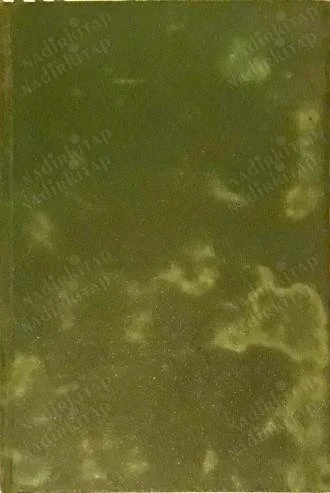 Ege'de Kurtuluş Savaşı Başlarken